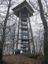 Aalbäumle