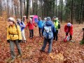 Weg zum Volkmarsberg