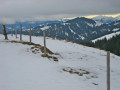 IMG_1362