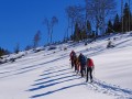 Senioren Alpe Hohenschwand