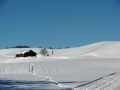 Siedelalpe