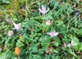 IMG-20191022-WA0005