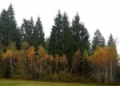 IMG-20191022-WA0012