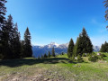 IMG-20220516-WA0007