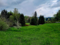 IMG-20230508-WA0002