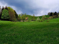 IMG-20230508-WA0006