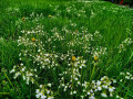 IMG-20230508-WA0010