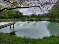 IMG-20230508-WA0011