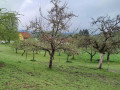 IMG-20230508-WA0012