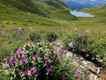 IMG-20230729-WA0041