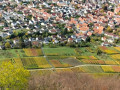 Neuffen06