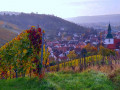 Weinweg05