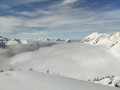 IMG_20250315_121431