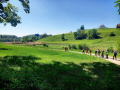 Birnau19