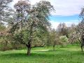 dreifuersten02