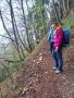 dreifuersten04