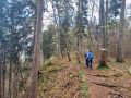 dreifuersten05