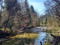 IMG-20250408-WA0008