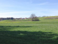 IMG-20250408-WA0012