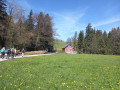 IMG-20250408-WA0015