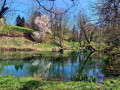 IMG-20250408-WA0018