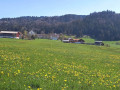 IMG-20250408-WA0020