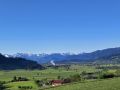 IMG-20250511-WA0001