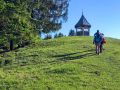 IMG-20250511-WA0003