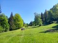 IMG-20250511-WA0015