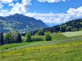IMG-20250511-WA0017