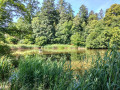 IMG20250617094729