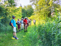 IMG20250617094740