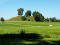 IMG20250617101112