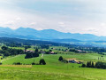 IMG20250617124403
