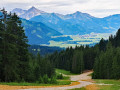 IMG-20250706-WA0008