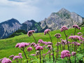 IMG-20250708-WA0007