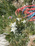 Aggenstein_06