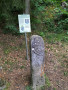 IMG20250722114230