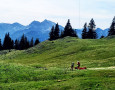 IMG-20250907-WA0015