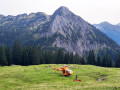 IMG-20250907-WA0015a