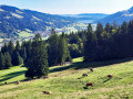 IMG-20250906-WA0002