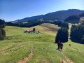 IMG-20250906-WA0009