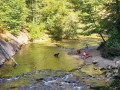 IMG-20250906-WA0023