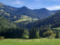 IMG-20250906-WA0025