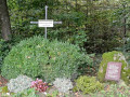 Schussenried-15