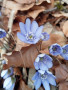 IMG-20260303-WA0025
