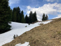 09-IMG_9729