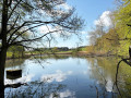 IMG-20260421-WA0015