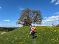 IMG-20260421-WA0010