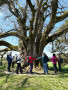 IMG-20260421-WA0011